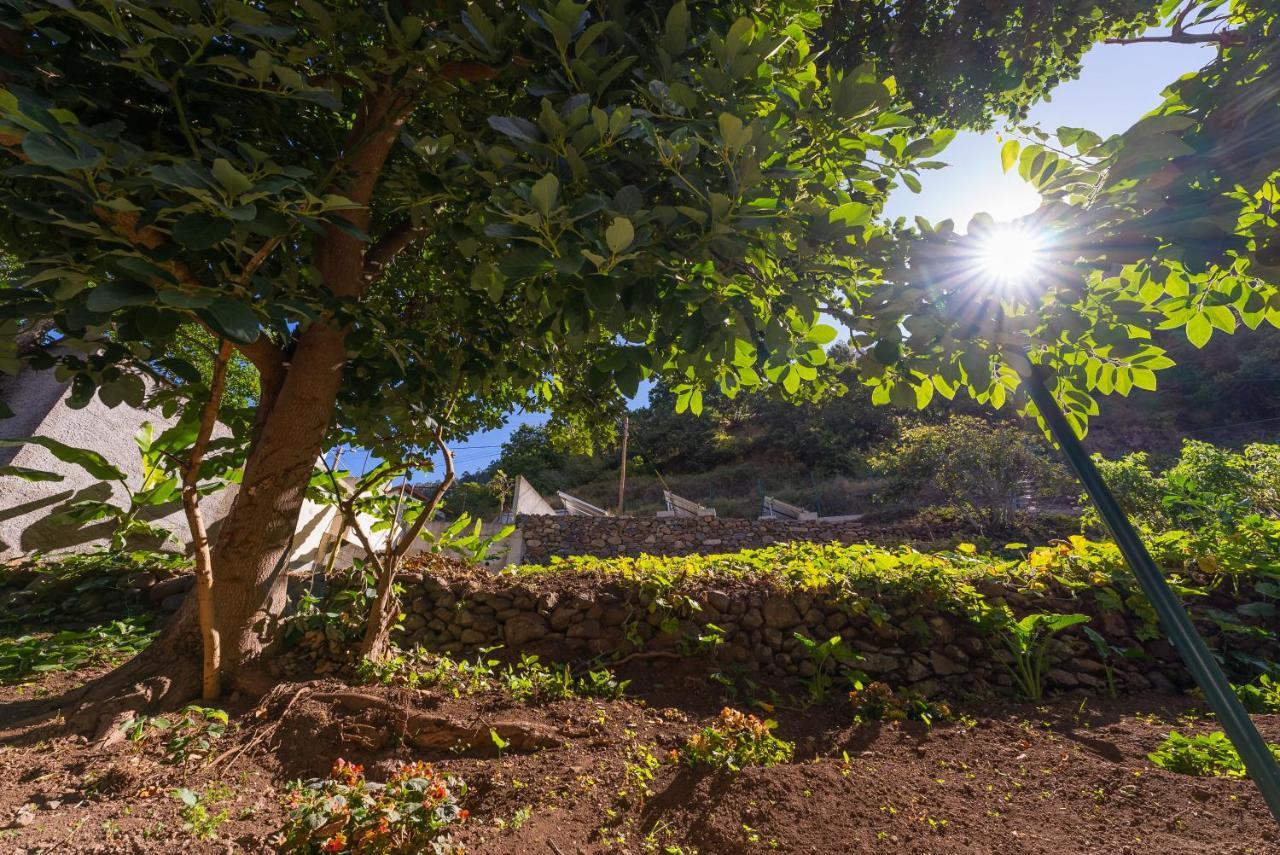 Solar Dos Reis By An Island Apart 里贝拉布拉瓦 外观 照片